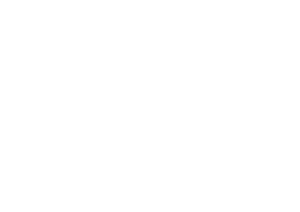 TDC-LOGO